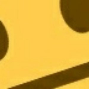 Meet your Posher, Amiyah